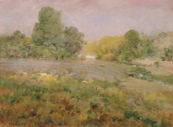 Feld mit buntem Gras im Spätsommer (In den Virginia Hills)