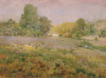 Feld mit buntem Gras im Spätsommer in den Virginia Hills, n.d.