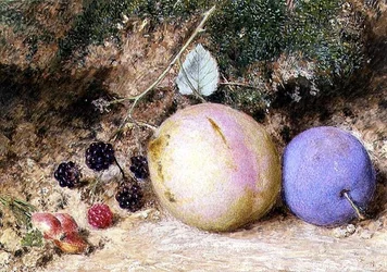 Hagebutten, Brombeeren und Pflaumen