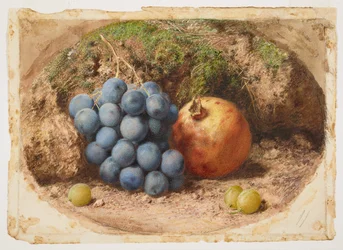 Stillleben mit Trauben und einem Granatapfel
