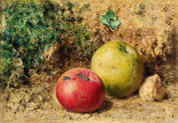 Der Kontrast - Rote und grüne Äpfel, ca. 1860