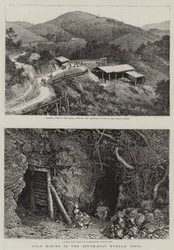 Goldabbau in Südost-Wynaad, Indien