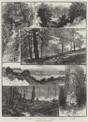Skizzen im Highgate-Wald