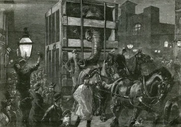 Jumbos Reise zu den Docks