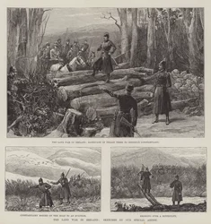 Der Landkrieg in Irland