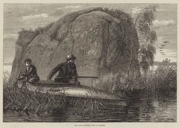 Wildentenjagd, Westirland