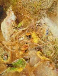 Vogelvoliere, 1871