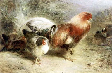 Geflügel