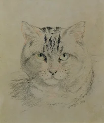Getigerte Katze, 1874