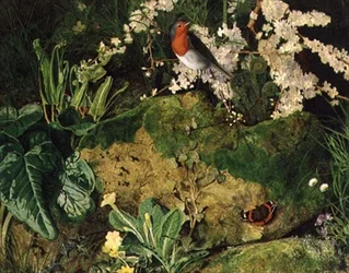 Früher Frühling