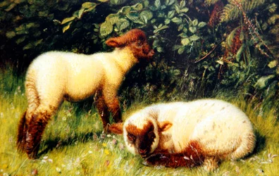 Schafe, um 1860