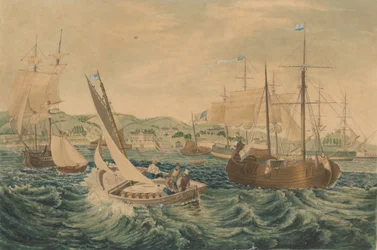 Quarantäne, Staten Island, 1833