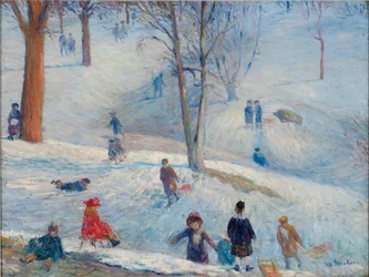 Schlittenfahren im Central Park