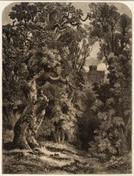 Landschaft