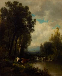 Rinder am Fluss
