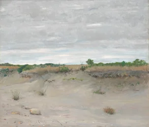 Vom Wind verwehte Sanddünen, 1894