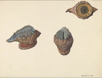 Shell Out Bank, ca. 1938