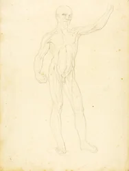 (Ein Ecorche, Vorderansicht)