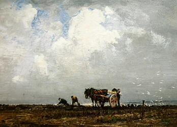 Sammeln von Seetang, 20. Jahrhundert