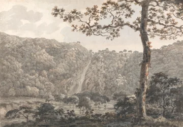 Die Wasserfälle von Powerscourt, Co. Wicklow, Irland