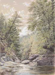 Catskill Clove in Palingsville, 1856