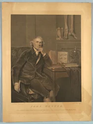 Porträt von John Hunter