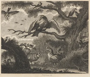 Der Geier, der Spatz und andere Vögel