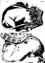 Fleuron aus dem Buch: Eine Abhandlung über die Theorie und Praxis der Geburtshilfe