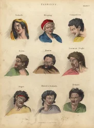 Leidenschaften aus der Physiognomie