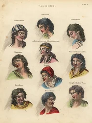 Leidenschaften aus der Physiognomie