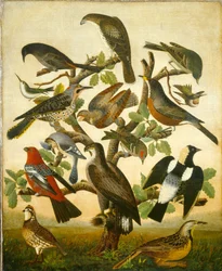 Vögel, um 1840