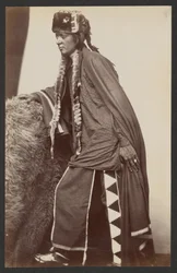 Arapaho Krieger Shib-o-nester