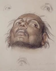 Studie eines Kopfes eines Ostinders, ca. 1875 (Kreide und Waschung auf Papier)