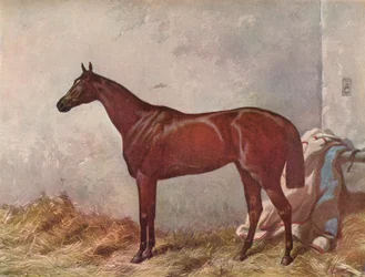 Hermit: Gewinner der Derby Stakes in Epsom, 1867, 1903