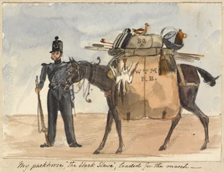 Mein Packpferd, "der Schwarze Sklave", beladen für den Marsch, um 1854