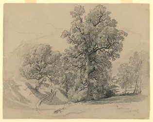 Landschaft, Lauterbrunnen, Schweiz