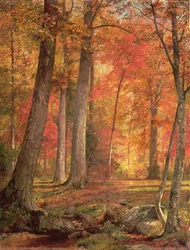 Waldweg, 1865