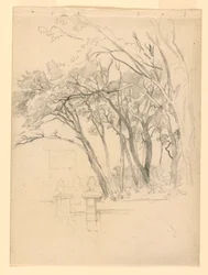 Studie von Laub