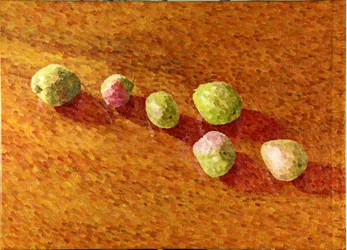 Stillleben, schwarze Worcesters, 2013