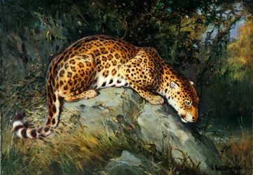 Ein Leopard, der auf einem Felsen kauert
