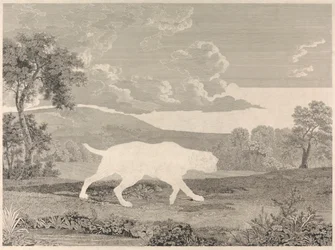 [Schießen] Der spanische Zeiger