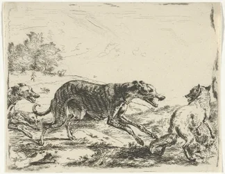 Fuchs und drei Hunde