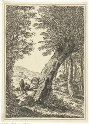 Weidenbaum