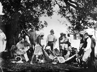 Den Tiger häuten, c.1870er