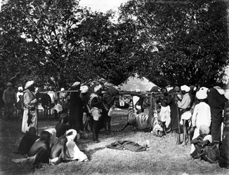 Tigerjagd in Indien, ca. 1870er Jahre