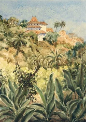 723 Lankatilaka aus dem Pfeffergarten