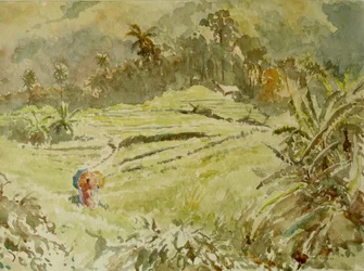 Der „kurze Weg“, Ramboda