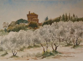 883 Pal Massaini, bei Pienza