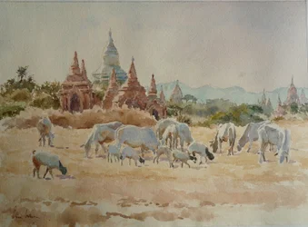 931 Richtung Schwesandaw