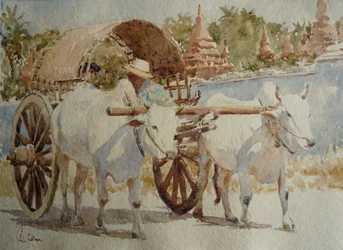 934 Ochsenkarren-Taxi rund um die Tempel